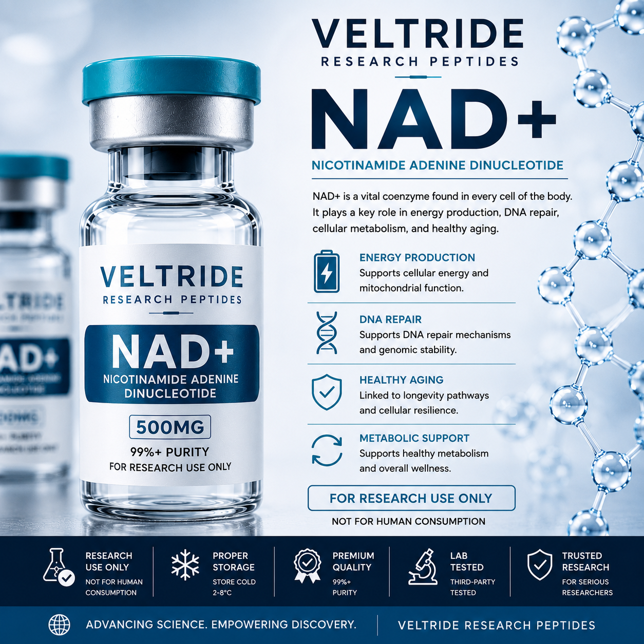 NAD+ 500mg research vial